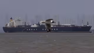 El acuerdo temporal es visto como una oportunidad para reducir la escalada del conflicto y abrir la puerta a soluciones diplomáticas