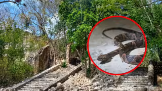 Mopila tiene diversas leyendas al ser un pueblo abandonado en Yucatán