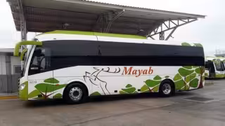 Denuncia en redes exhibe presuntas restricciones indebidas a personas con discapacidad