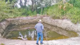 Ganaderos de Sabancuy denunciaron el ingreso ilegal de personas a sus terrenos.