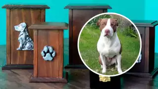 Cliente alerta en Facebook sobre crematorio de mascotas en Mérida