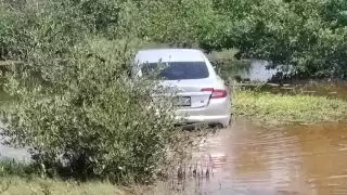 El conductor del auto deportivo perdió el control hasta caer a la ciénega