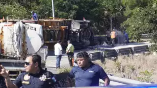 Accidente en la autopista Campeche–Mérida: vuelca camión con animales para consumo