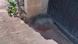 Vecinos de la colonia CNC piden investigar presunta muerte de perros por envenenamiento