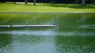 Descartan riesgos en el agua en Yucatán por la ameba comecerebros en el lago de Plaza La Isla