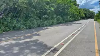 El Ayuntamiento de Othón P. Blanco abandona la limpieza de las carreteras que interconectan Raudales con Laguna Guerrero