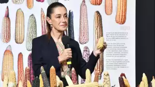 La presidenta Claudia Sheinbaum reafirmó el compromiso de su gobierno de proteger las variedades criollas de maíz