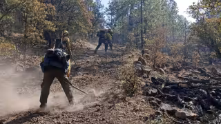 La topografía accidentada de la zona ha dificultado las acciones de combate directo