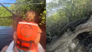 Casos similares han terminado en ataques