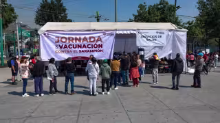 Personal capacitado les solicitará datos básicos como estado, municipio y grupo de edad, para brindarles información precisa sobre dónde acudir a vacunarse