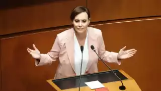 Lili Téllez, senadora del PAN