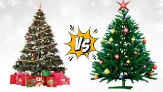 ¿Cuál es la Mejor Opción?