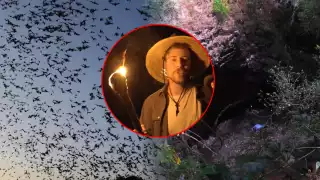 Mr. Beast intentó descender a una cueva en Campeche con más de 3.5 millones de murciélagos.