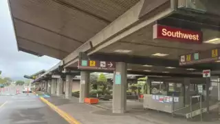 Un pasajero japones que llegó al aeropuerto de hilo en Hawai, transportaba dos granadas en su equipaje de mano