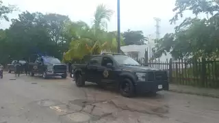 La caída del árbol no dejó personas lesionadas