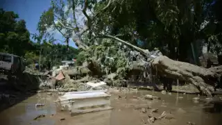 De acuerdo con el reporte oficial del Gobierno federal, las lluvias han dejado un saldo de 29 personas fallecidas en Veracruz