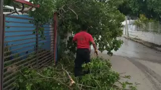 Se contabilizaron 29 reportes de emergencia