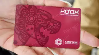 Asociaciones civiles piden frenar ilícitos en transporte público