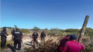 Clausuran obras irregulares en zona de manglar en Progreso