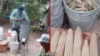 Maíz criollo, ingenio campechano: la máquina que ahorra tiempo y esfuerzo