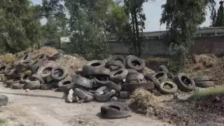 Ciudadanos denuncian el aumento de tiraderos de neumáticos viejos en Chetumal, ya que representan riesgos sanitarios