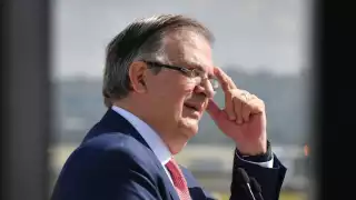 Marcelo Ebrard Casaubón, secretario de Economía