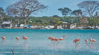 Sabancuy se prepara para Semana Santa con paseos en lancha y kayak