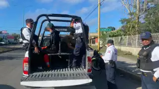 Menores no acreditaron la legal propiedad de la motocicleta y fueron revisados