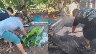 Pibipollos, flores y velas: así se vive el Hanal Pixán en la comunidad de Sodzil, Campeche