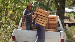 La presidenta Claudia Sheinbaum recordó que ya en 2019 se intentó imponer un arancel similar, pero se revirtió tras negociaciones intensas