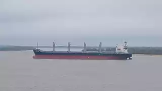 Argentina descarta caso de mpox en un buque puesto en cuarentena que llegó de Brasil