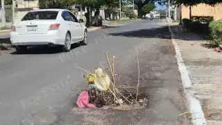 Vecinos colocaron ramas como señal preventiva en una alcantarilla hundida en la avenida Concordia, en Champotón.
