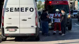 Autoridades confirman fallecimiento de “Conan” en Campeche