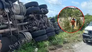 Rapiñan maíz tras volcadura de tráiler en la carretera Escárcega–Villahermosa