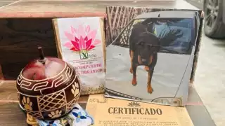 Se acumulan denuncias por casos Xibalbá en la Fiscalía de Chetumal; afectados no quieren que el caso quede impune