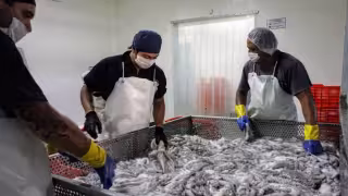 Inegi reporta un alza en exportaciones de 11.9% en el primer trimestre