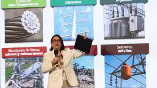El portafolio de inversiones en el sector eléctrico responde a la planeación del Sistema Eléctrico Nacional