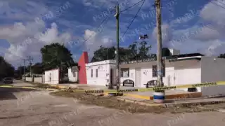 Crueldad animal en Campeche: tres perros hallados sin vida