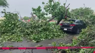 Así terminó la unidad en Dzemul