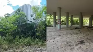 Lo que en algún momento se presentó como un gran proyecto, hoy luce consumido por la vegetación