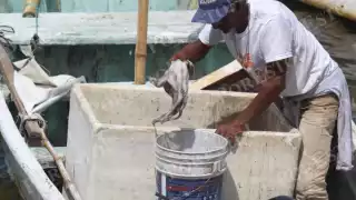 Cae el precio del molusco gareteado en el litoral de Champotón, pasando de 125 a 90 pesos por kilo.