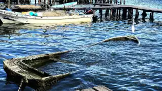 Cooperativas buscan apoyo extraordinario ante desplome de la pesca