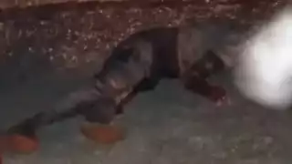 El cuerpo del motociclista quedó tendido sobre la vía rápida en Calakmul