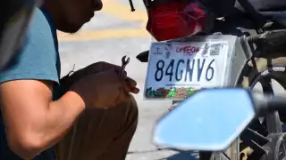 El reemplacamiento vehicular en Campeche es obligatorio cada tres años.

