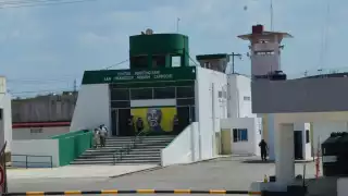 Aseguran que el producto tiene demanda