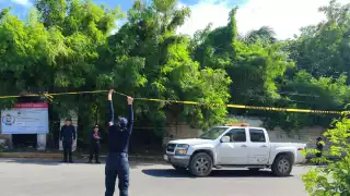 Indigna a más de 500 chetumalenses fraude de crematorio de mascotas Xibalbá, delincuentes lucraron durante más de 4 años con el dolor ajeno