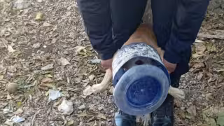 Una vez liberado, el perro salió corriendo con rumbo desconocido