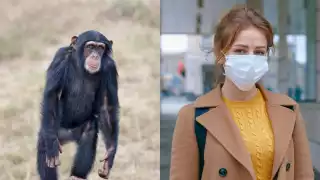 ¿Cuáles son las diferencias entre el Covid-19 y la Viruela del Mono?