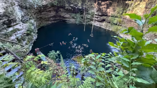 Granjas porcícolas, urbanización sin control y turismo masivo contaminan el agua del 83% de los cenotes yucatecos