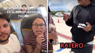 Campeche apuesta por reproducir pulpo y pepino de mar para evitar su desaparición